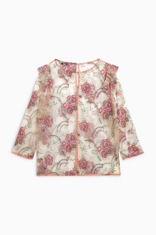 Blush Embroidered Mesh Top